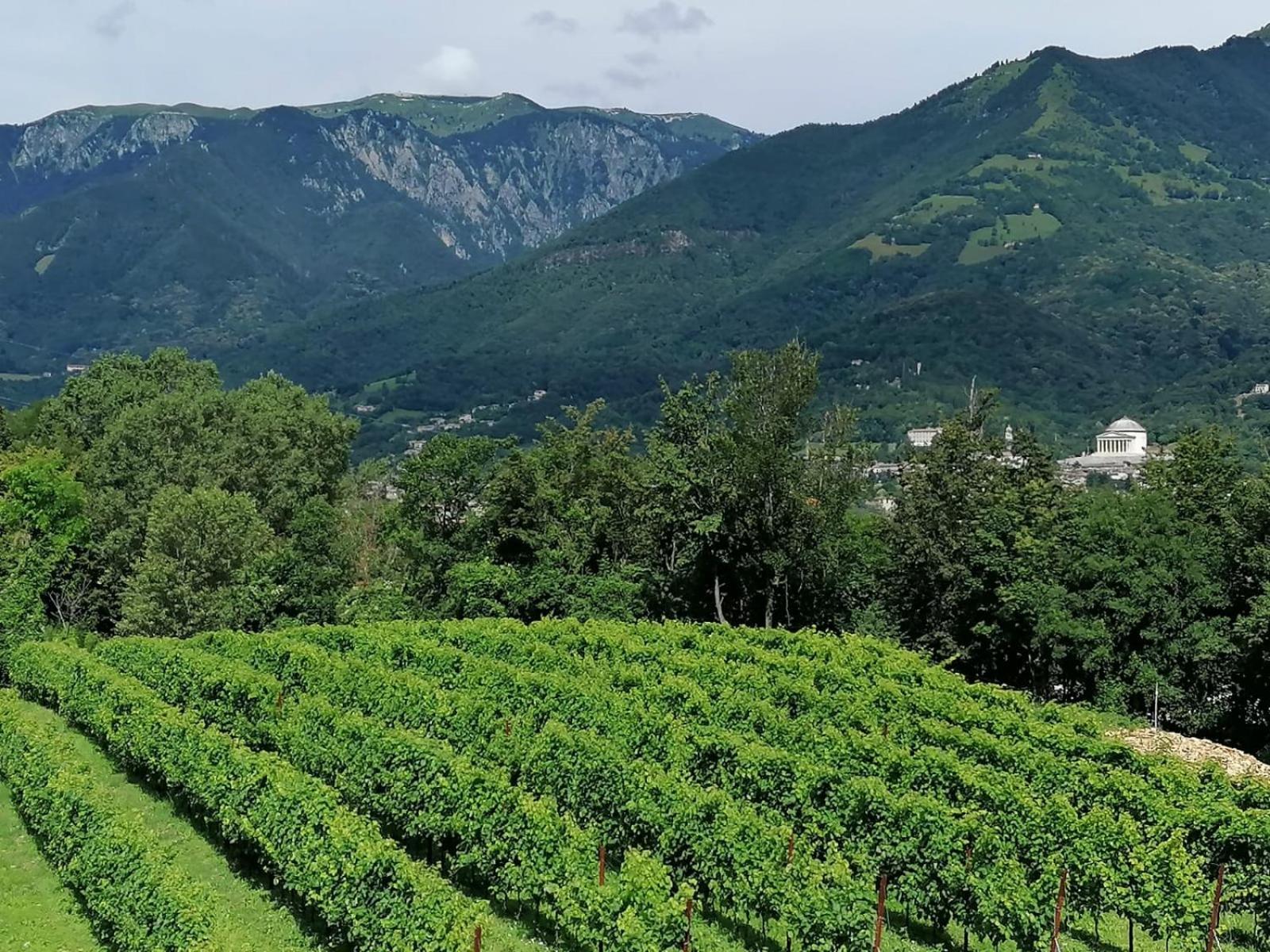 Agriturismo Riva Beata Cavaso Del Tomba エクステリア 写真