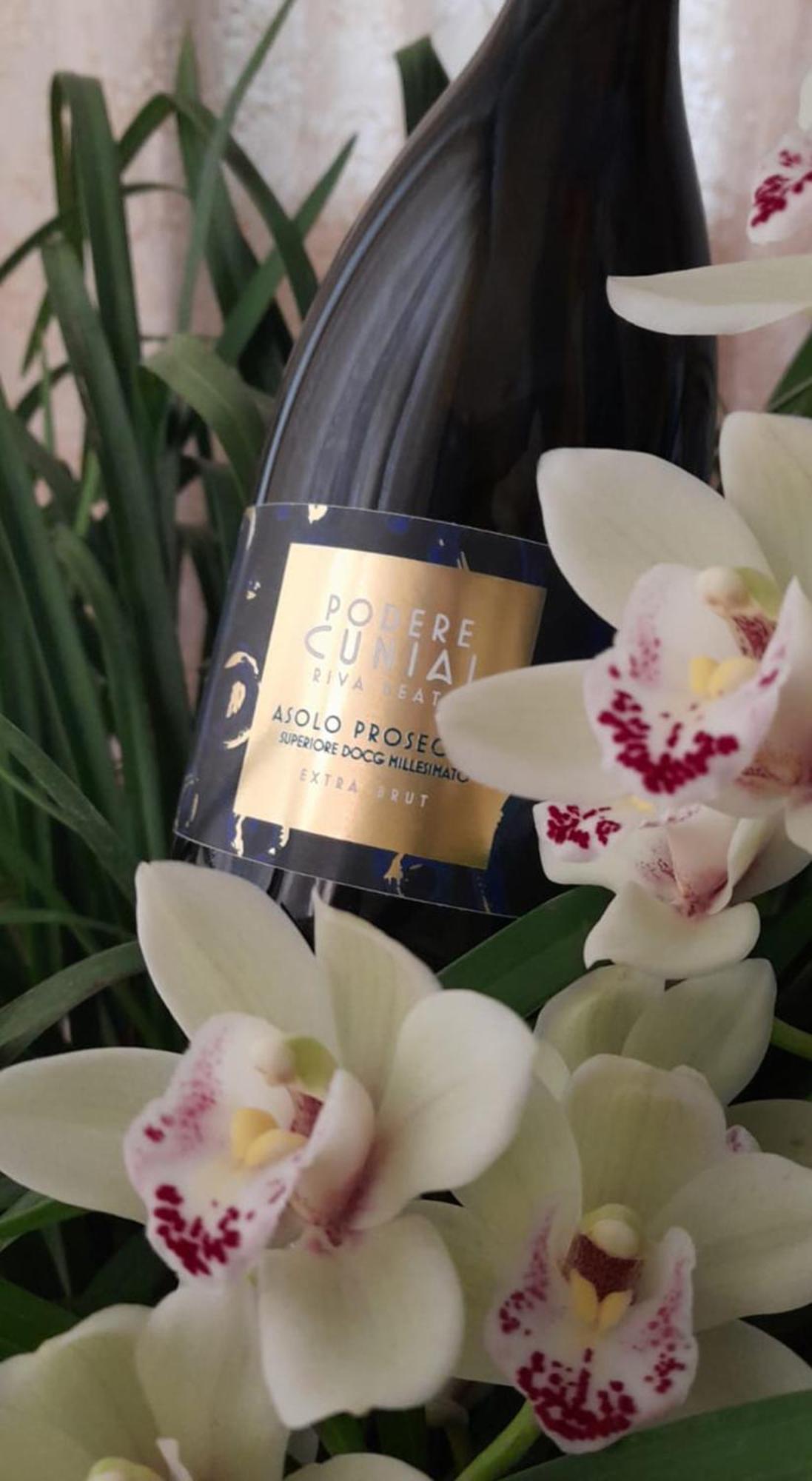 Agriturismo Riva Beata Cavaso Del Tomba エクステリア 写真
